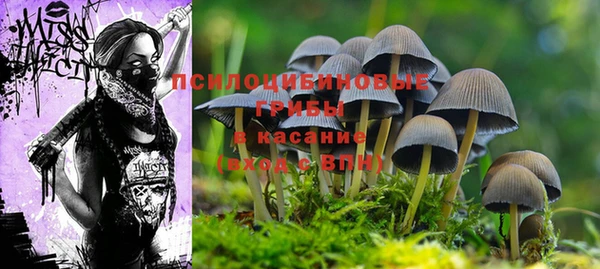 прущая мука Алзамай