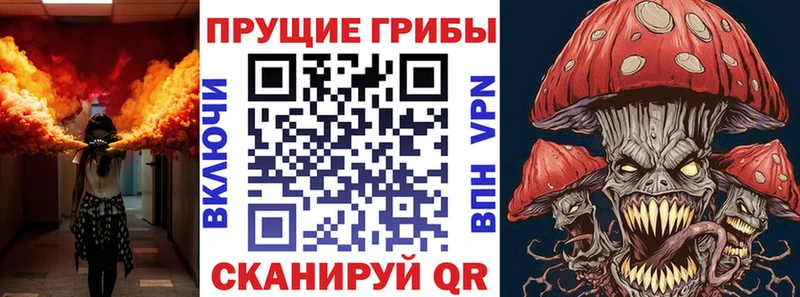 omg онион  Шатура  Псилоцибиновые грибы мухоморы 