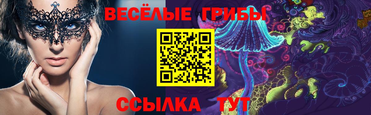 Экстази Шатура