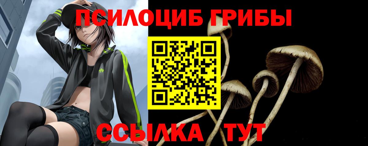 Шатура  Псилоцибиновые грибы MAGIC MUSHROOMS  Вход с VPN 